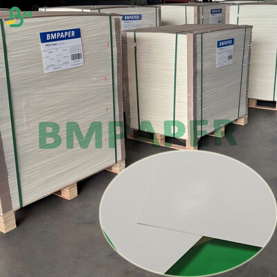 275 gm 325 gm GC2 Folding Box Board per imballaggi da forno 760 x 1020 mm OBA Free