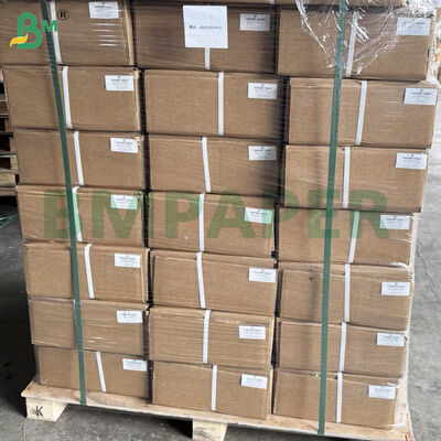 Rotoli di carta per plotter CAD da 80 g/m² per la stampa a getto d'inchiostro di grande formato