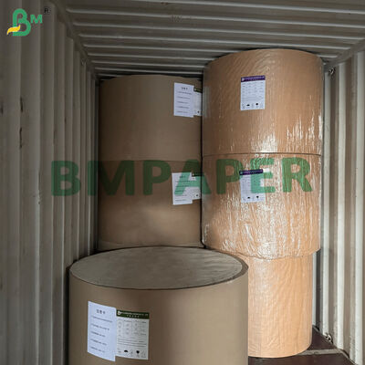200g 300g Carta di Fibra di Canna da Zucchero per Piatti Alimentari Polpa di Fibra Rinnovabile 900mm