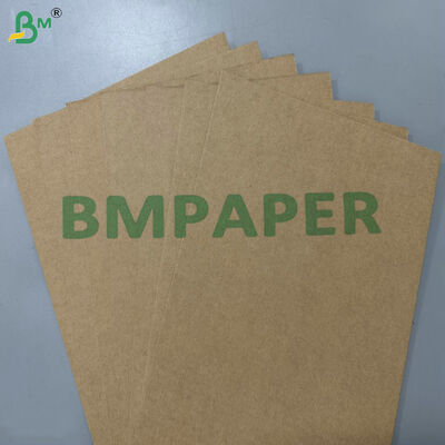 Carta di base in bagassa di canna da zucchero 200gsm 300gsm compostabile al 100% per uso alimentare e resistente al grasso per stoviglie usa e getta